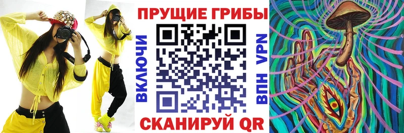 Галлюциногенные грибы ЛСД  Купить  Выборг 
